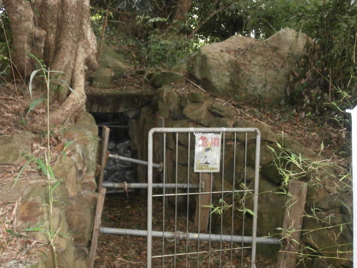 【阿波の古墳を行く！】被葬者は鷲住王一族？「大里古墳」（徳島県海陽町） 妄想の阿波古代史